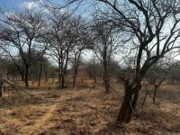  of property in Hoedspruit