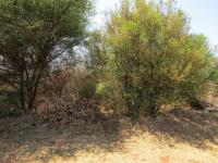  of property in Thabazimbi