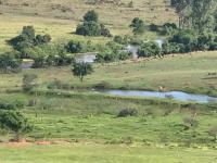  of property in Bronkhorstspruit