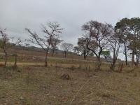  of property in Vuwani