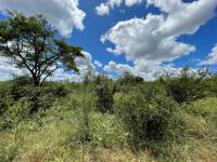  of property in Hoedspruit