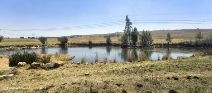 Farm for Sale For Sale in Elandsfontein - MR653754