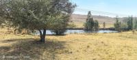  of property in Elandsfontein