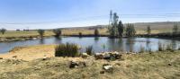  of property in Elandsfontein