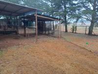  of property in Bothasgeluk AH