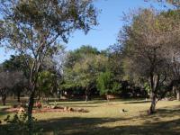  of property in Hoedspruit