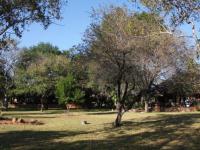  of property in Hoedspruit