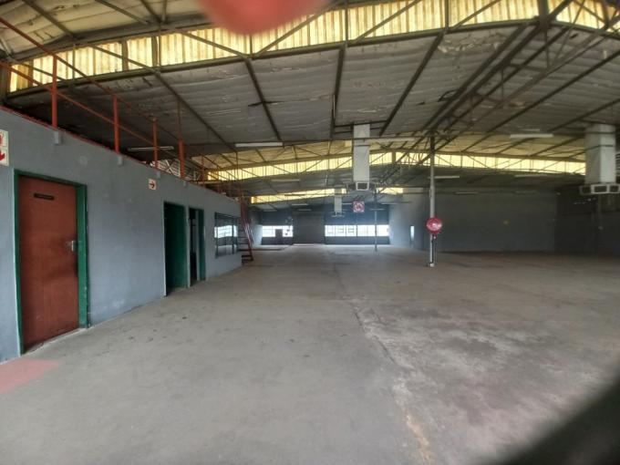 Commercial to Rent in Polokwane - Property to rent - MR656812