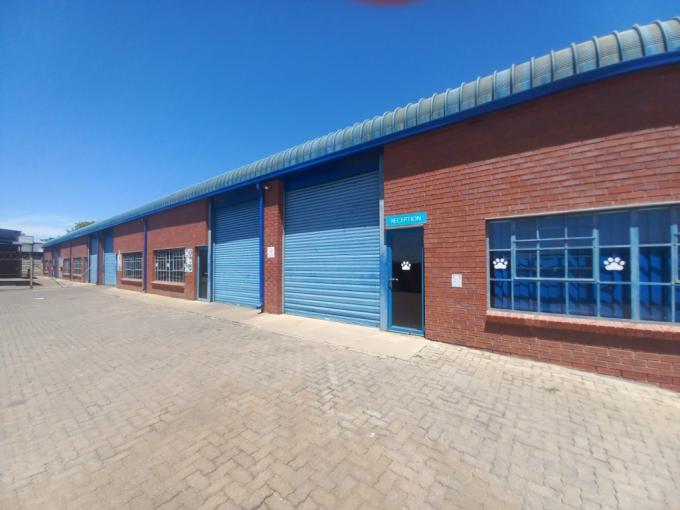 Commercial to Rent in Polokwane - Property to rent - MR656968