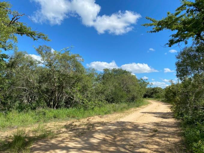 Land for Sale For Sale in Hoedspruit - MR657674