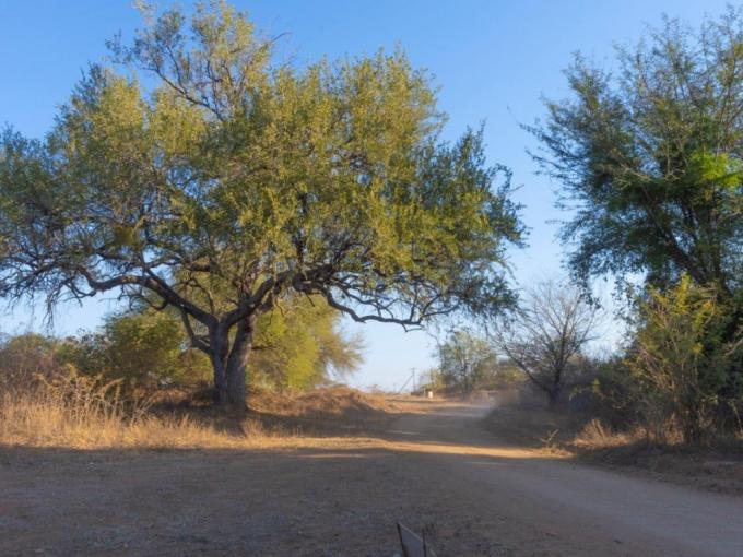 Land for Sale For Sale in Hoedspruit - MR658016