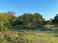  of property in Hoedspruit