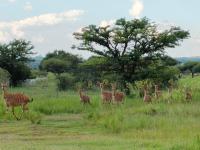  of property in Pebble Rock