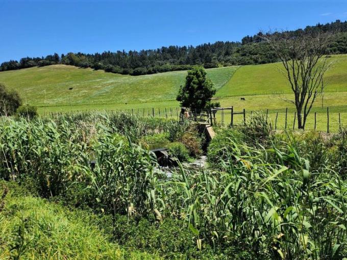 Smallholding for Sale For Sale in Plettenberg Bay - MR660086