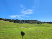  of property in Plettenberg Bay