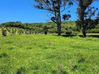  of property in Plettenberg Bay