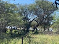  of property in Thabazimbi