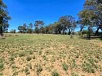  of property in Homestead Apple Orchards AH