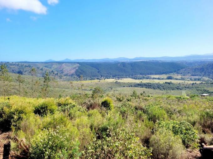 Land for Sale For Sale in Plettenberg Bay - MR661282