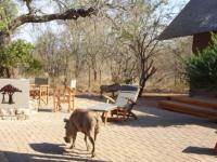  of property in Hoedspruit