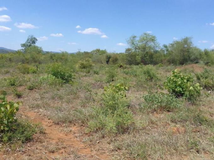 Land for Sale For Sale in Thohoyandou - MR661877