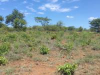  of property in Thohoyandou