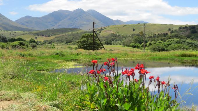 Farm for Sale For Sale in Swellendam - MR662295