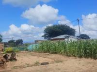  of property in Malamulele