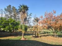  of property in Polokwane