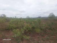  of property in Thohoyandou