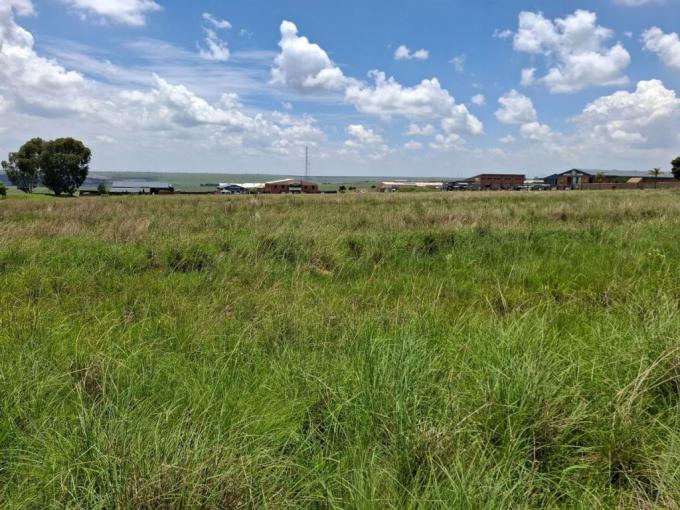 Land for Sale For Sale in Middelburg - MP - MR664402