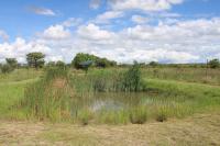  of property in Polokwane