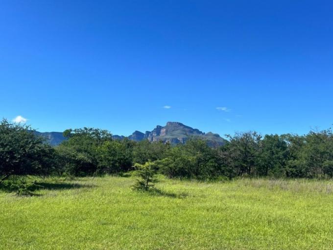 Land for Sale For Sale in Hoedspruit - MR665509