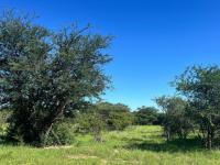  of property in Hoedspruit