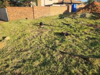  of property in Emalahleni (Witbank) 