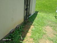  of property in Bellair - DBN