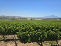  of property in Stellenbosch Farms