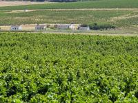  of property in Stellenbosch Farms