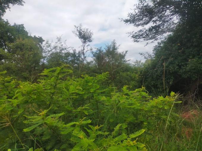 Smallholding for Sale For Sale in Thohoyandou - MR667237