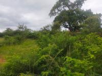  of property in Thohoyandou