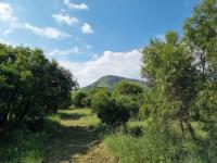  of property in Olifants Nek