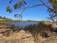  of property in Stellenbosch Farms