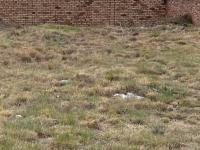  of property in Hendrina