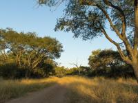  of property in Hoedspruit