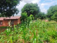  of property in Thohoyandou