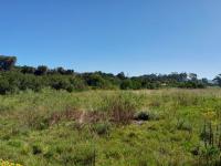  of property in Plettenberg Bay