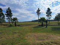  of property in Piet Retief