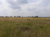 Land for Sale for sale in Pyramid
