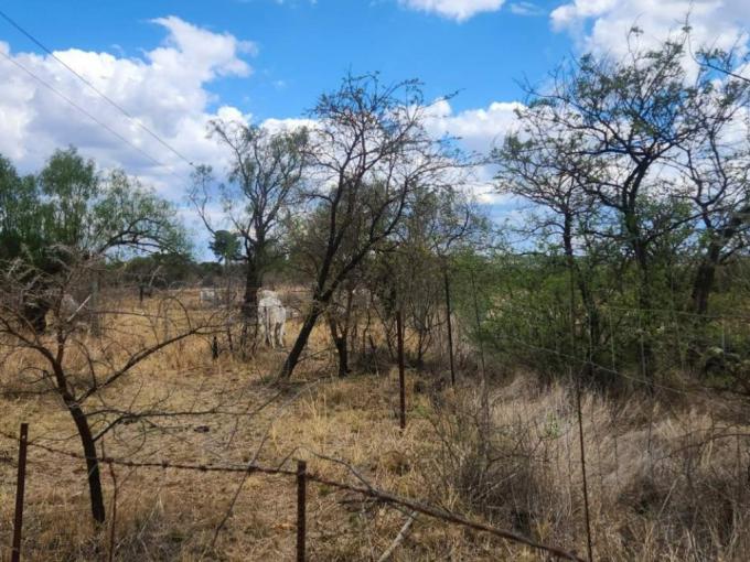 Smallholding Smallholding for Sale For Sale in Polokwane - MR725183 - MyR