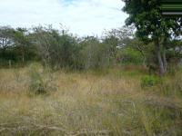 Land for Sale for sale in Hazyview